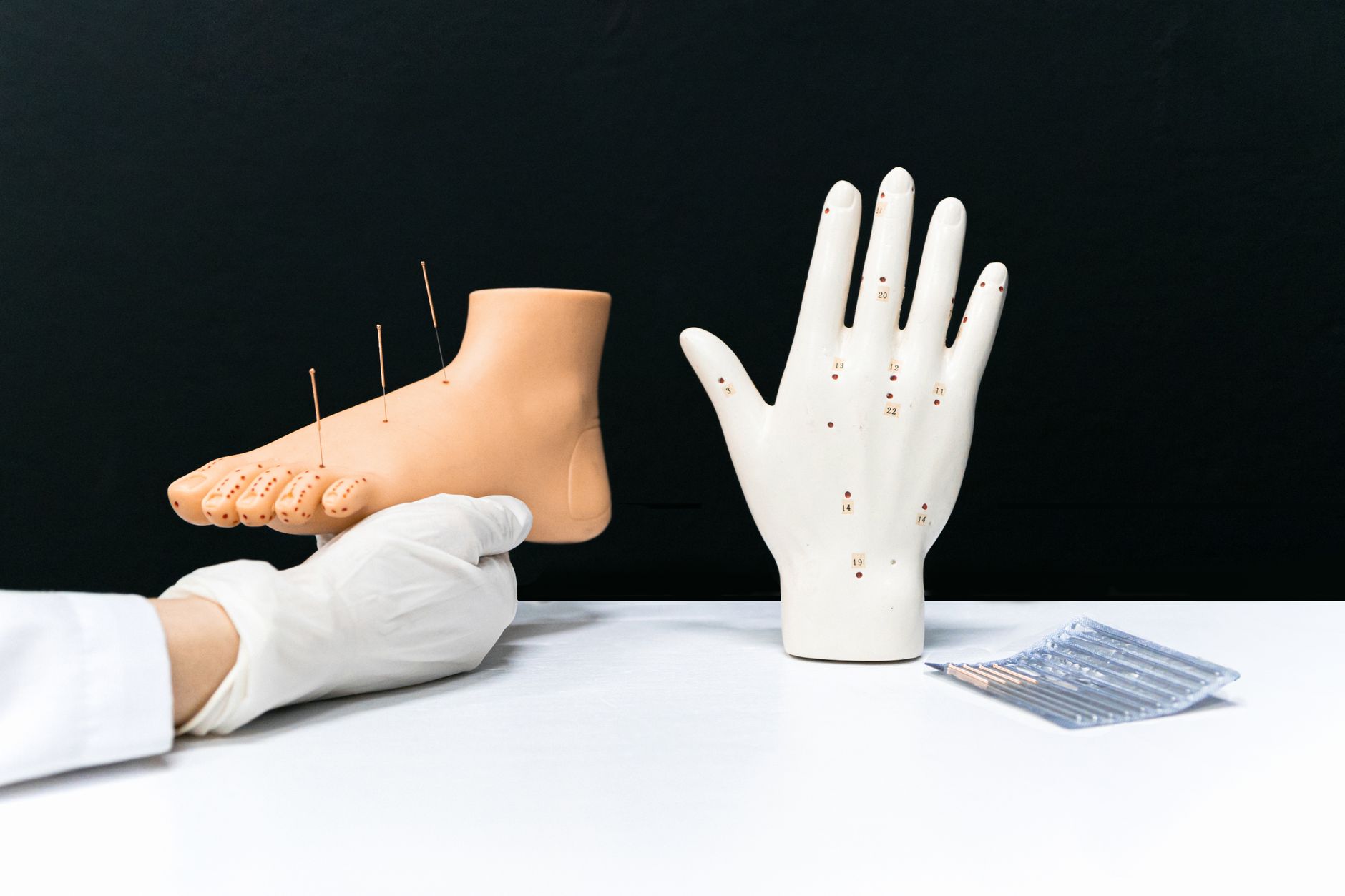 Acupuncture models and needles arranged on a surface